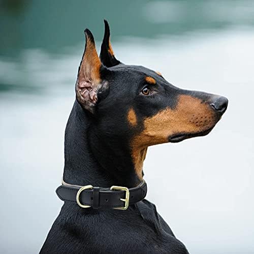 Mile High Life | Hakiki Deri Köpek Tasması / Ayarlanabilir Paslanmaya Dayanıklı Metal Pin Tokalı Ağır Hizmet Tipi