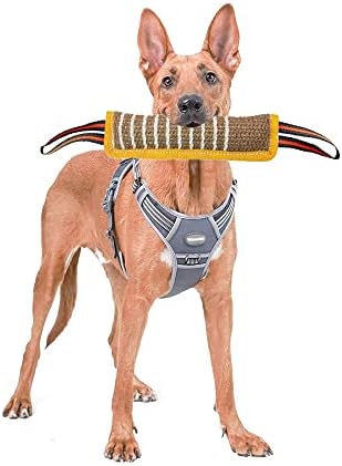 Köpek Römorkör Oyuncak Köpek Eğitim Bite Yastık Jüt Bite Kol Sopa Oyuncak-2 Kulplu Savaş Römorkörü için En İyisi,