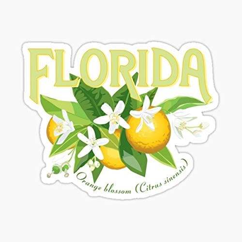 Florida-Eyalet Çiçeği, Portakal Çiçeği Çıkartması-Çıkartma Grafiği-Otomatik, Duvar, Dizüstü Bilgisayar, Hücre, Pencereler