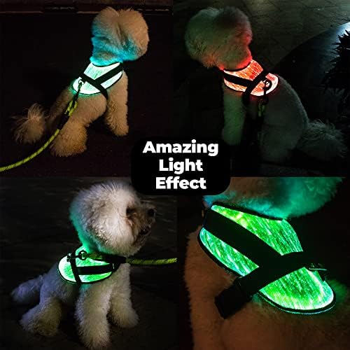 Tam Yüzey 360° Işıklı LED Köpek Koşum Tasmalı | Küçük Köpekler ve Yavru Köpekler için Geliştirildi / 3 Boyutta Mevcuttur-S