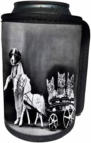 Antika Fotoğraf Köpeğinin 3dRose Görüntüsü Üç Kedili Vagonu Çeker-Şişe Sargısını Soğutabilir (cc-372040-1)