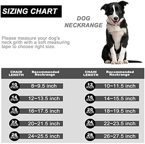 CZ Kilitleme Toka ve Kişiselleştirilmiş Köpek Kimliği Etiketleri ile BMusdog Altın Köpek Zinciri Yaka Özel Metin